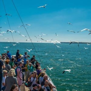 Bridlington & Filey for the day £29.00