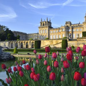 Blenheim Palace, Park & Gardens