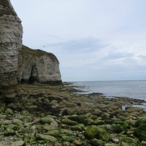 Flamborough - Christmas Two-Course Lunch