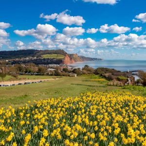 Springtime in Sidmouth