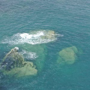 Flamborough in the Summer