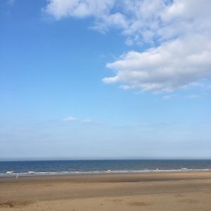 Coastal Tour with Carvery Meal