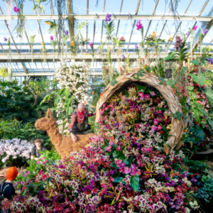 Kew Gardens & Orchid Festival