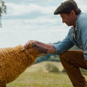 The Sheep Detective Kinema in the Woods for the day £47.00