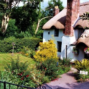 Summertime in Torquay